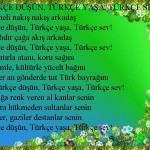 Türkçe Düşün 1