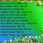 Türkçe Düşün 3